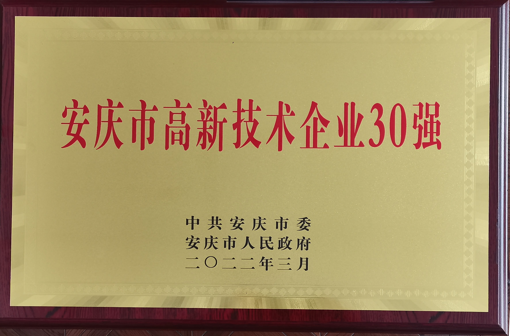 我司獲得安慶市高新技術(shù)企業(yè)三十強稱號